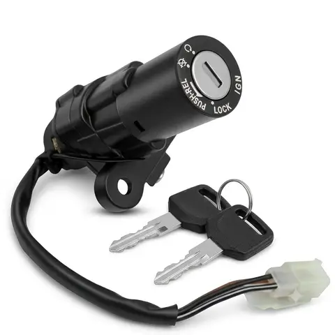 Pulsar 125 BS6 Ignition Lock
